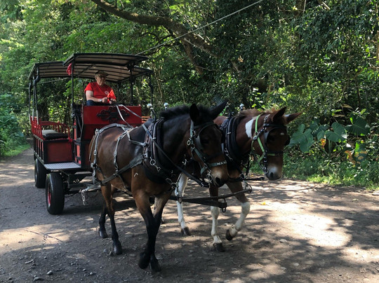 威毕欧山谷车游-霍诺卡阿必去景点