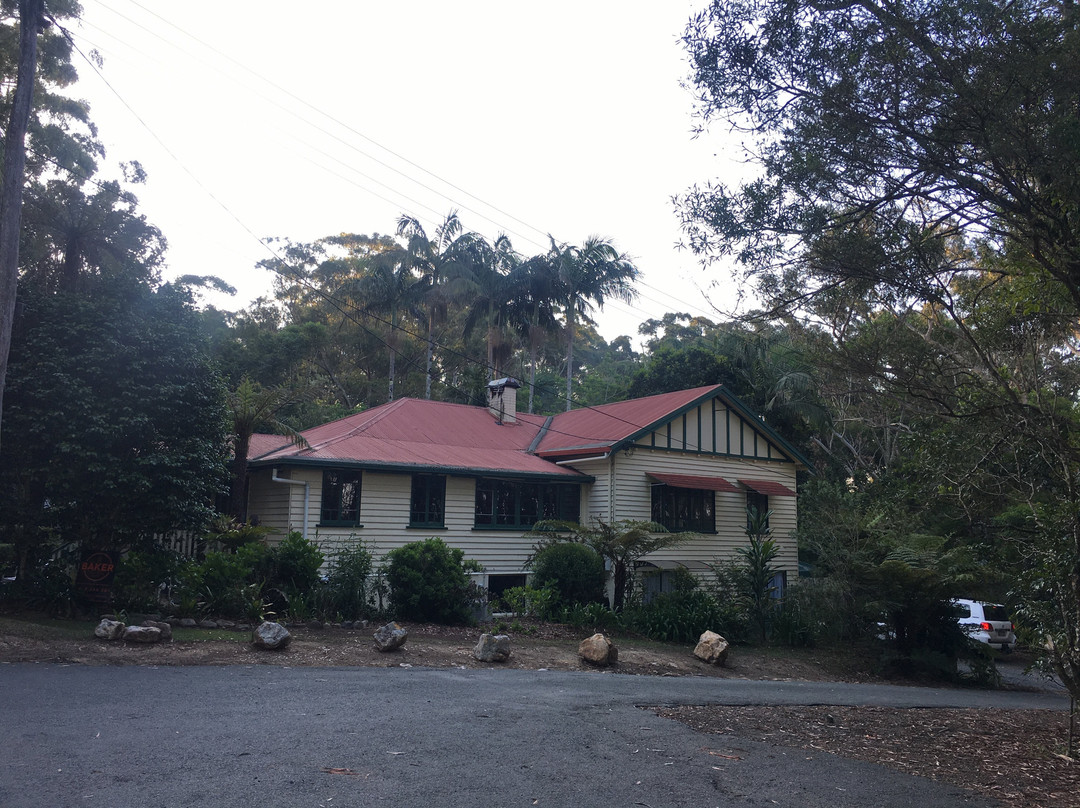 Rosellas On Springbrook主图