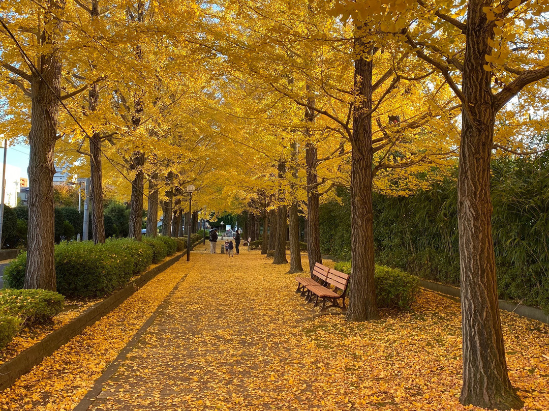 Utsunomiya Station East Park-宇都宫市必去景点