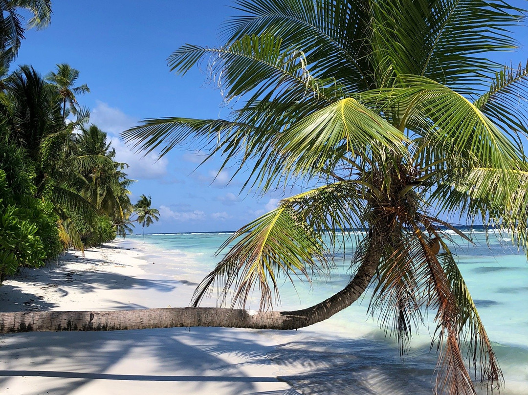 Dhigurah Retreat Beach主图