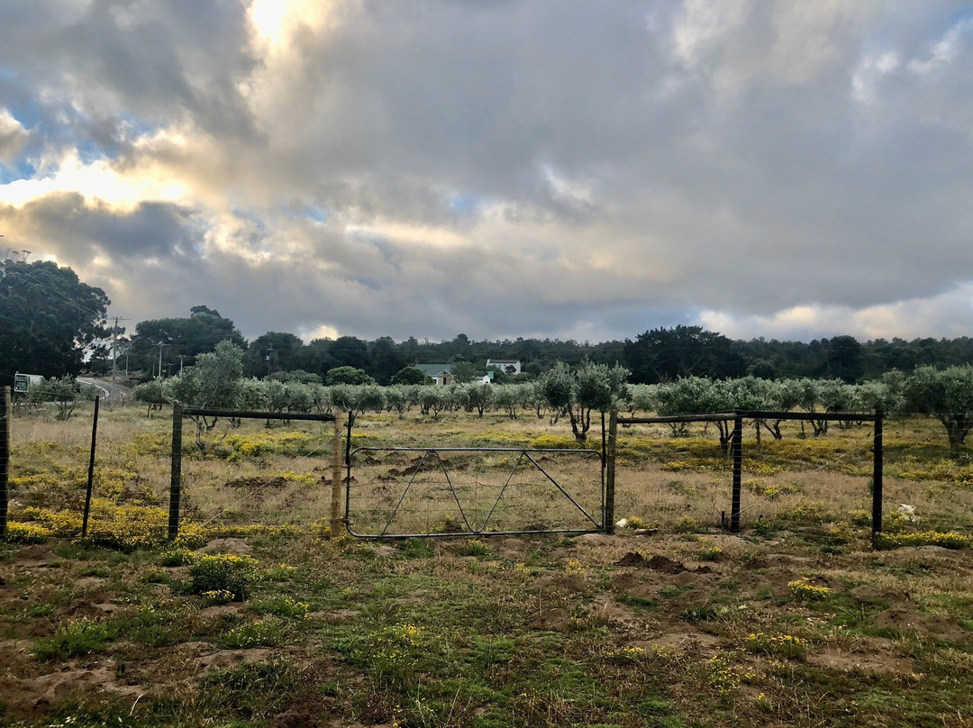 Botterkloof Resort主图