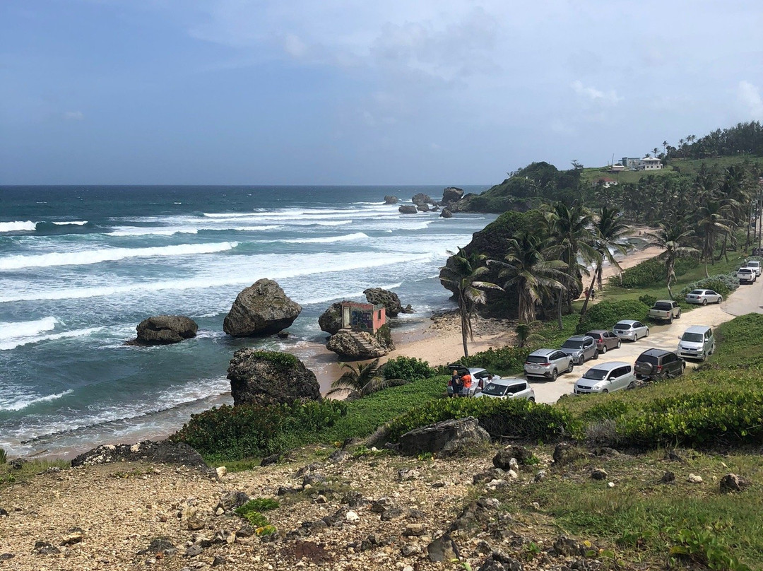 Williams Tours Barbados-布里奇顿必去景点