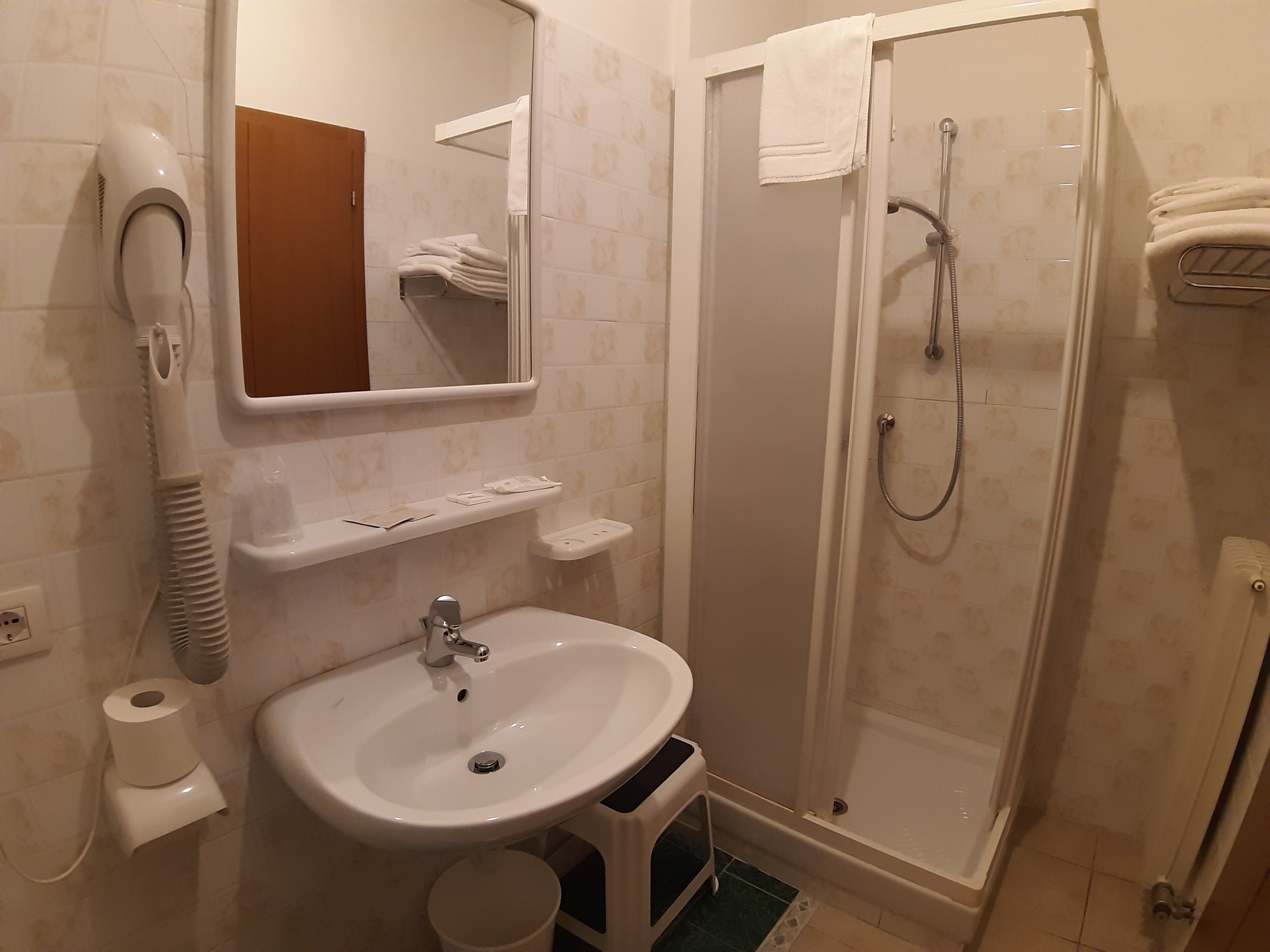 Hotel Alpen Andalo-浴室