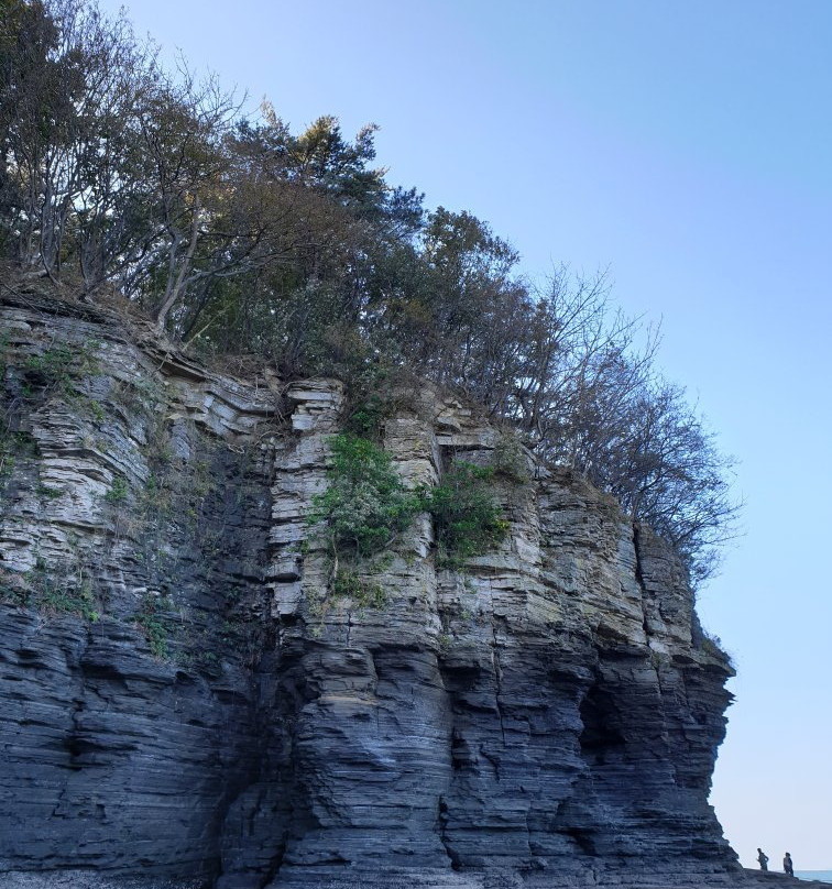 Gyeokpohang Fish Market-扶安郡必去景点