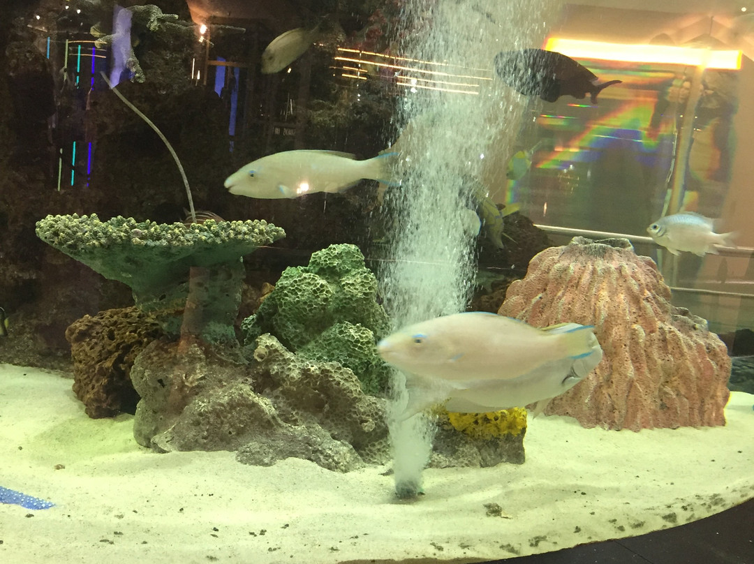 GVK One Mall-海德拉巴必去景点