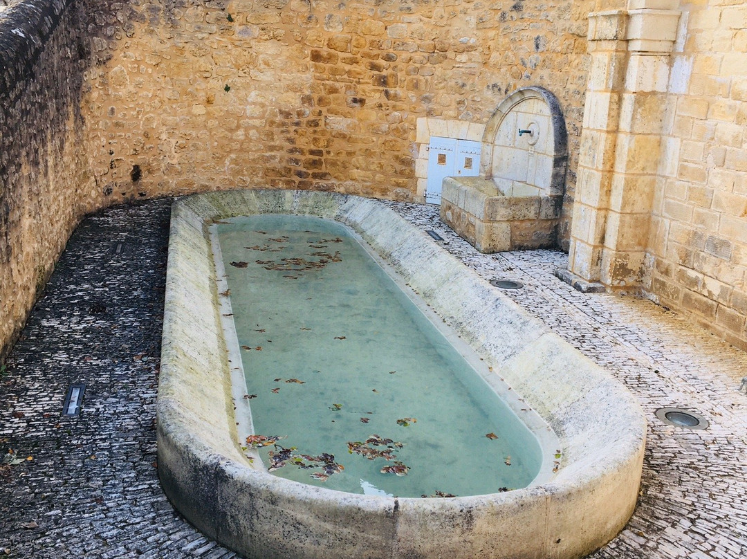 Lavoir de Domme景点图片