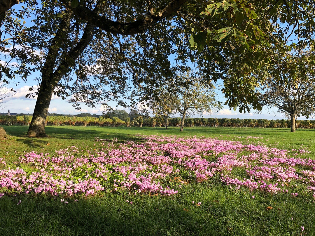Domaine des Gauliers主图