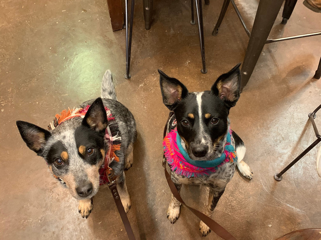 Noisy Water Winery-Cloudcroft必去景点