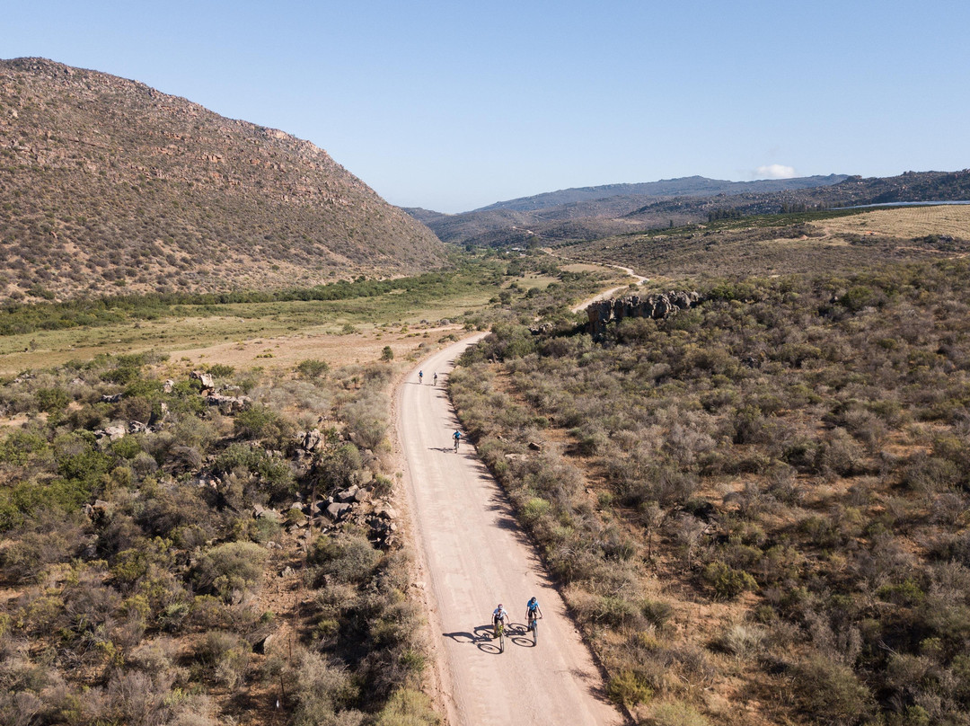 Vivid Bike Co-开普敦中心区必去景点