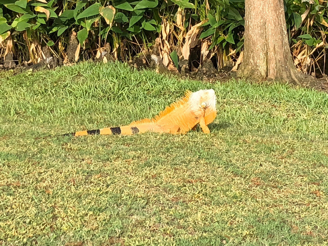 Club at Emerald Hills-好莱坞必去景点