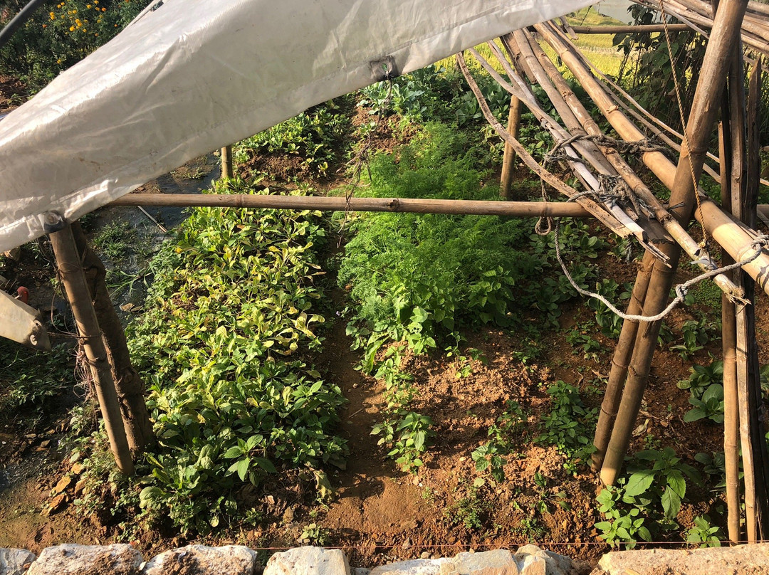 Astam Village Lodge主图