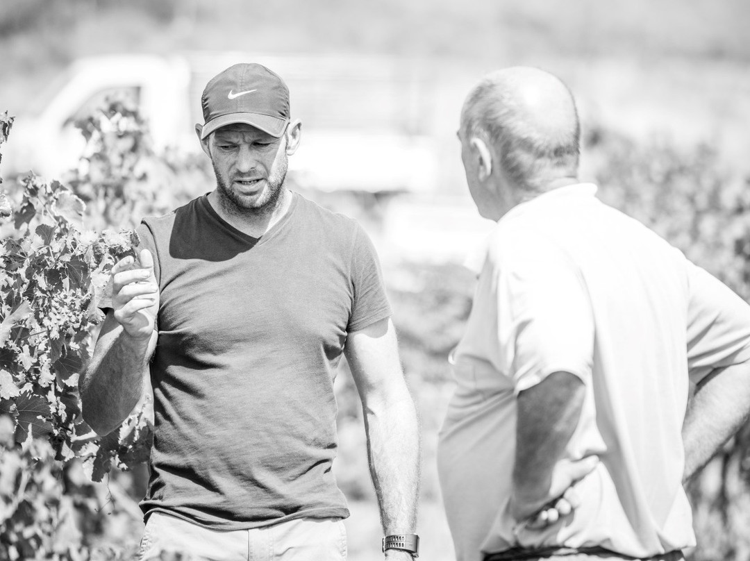 Arendsig Single Vineyard Wines-Bonnievale必去景点