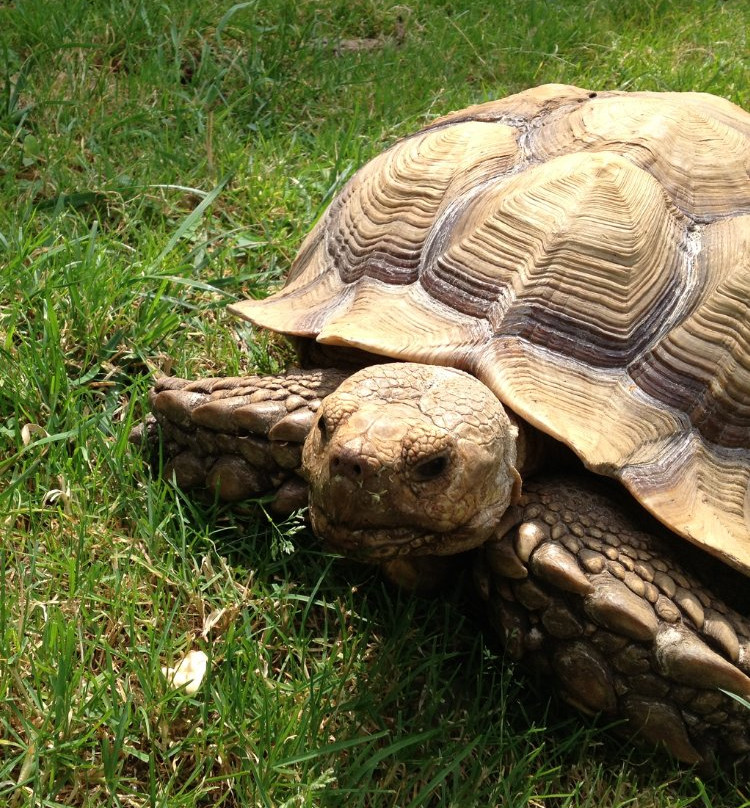 The Farmer's Inn-Sigel必去景点