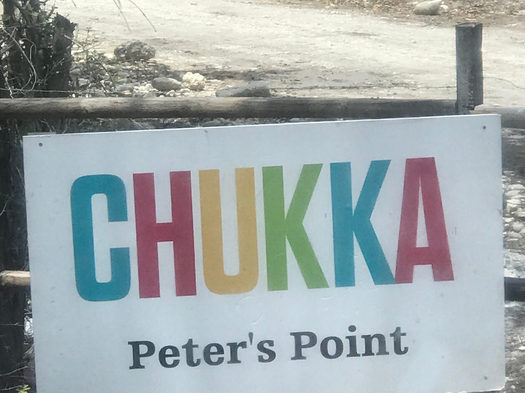 JusTours Jamaica - Horseback Ride 'n' Swim Tour-Lucea必去景点