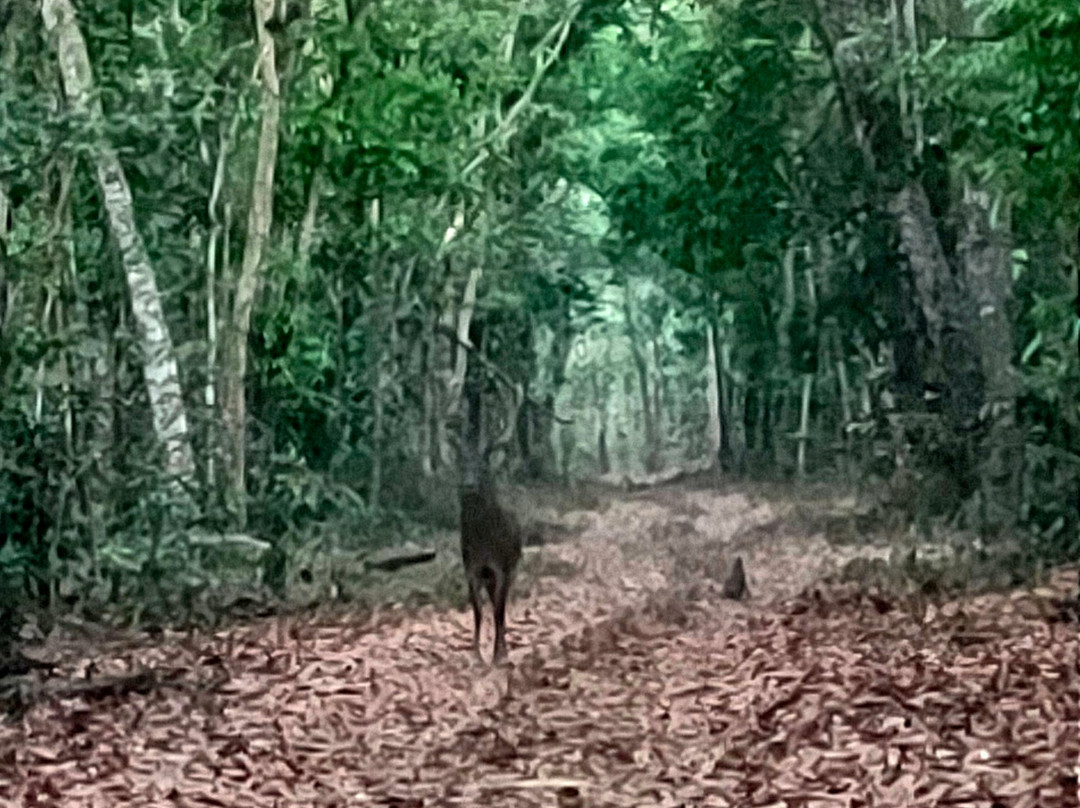 Sadengan Savannah-巴纽旺宣必去景点