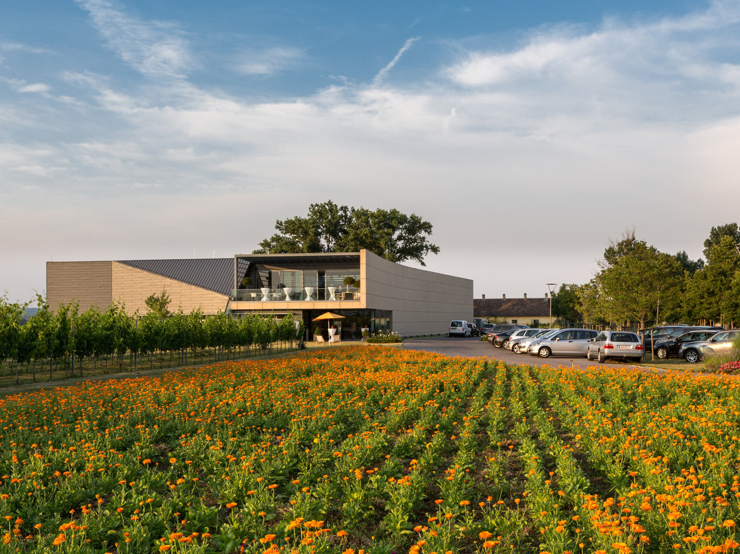 Weingut Esterhazy-Trausdorf an der Wulka必去景点