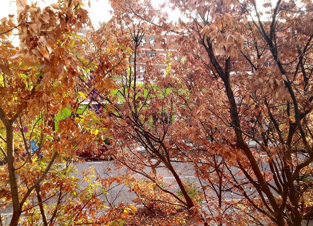 巴拉哈斯最佳西方别墅主图