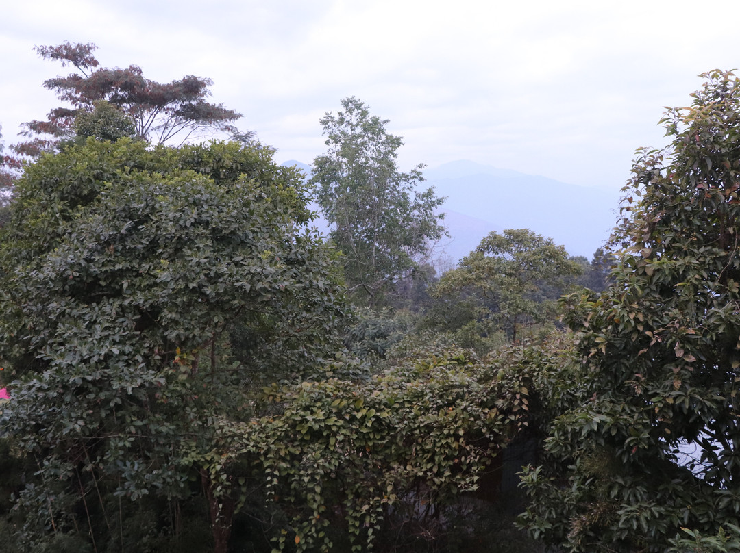 Summit Barsana Resort & Spa主图