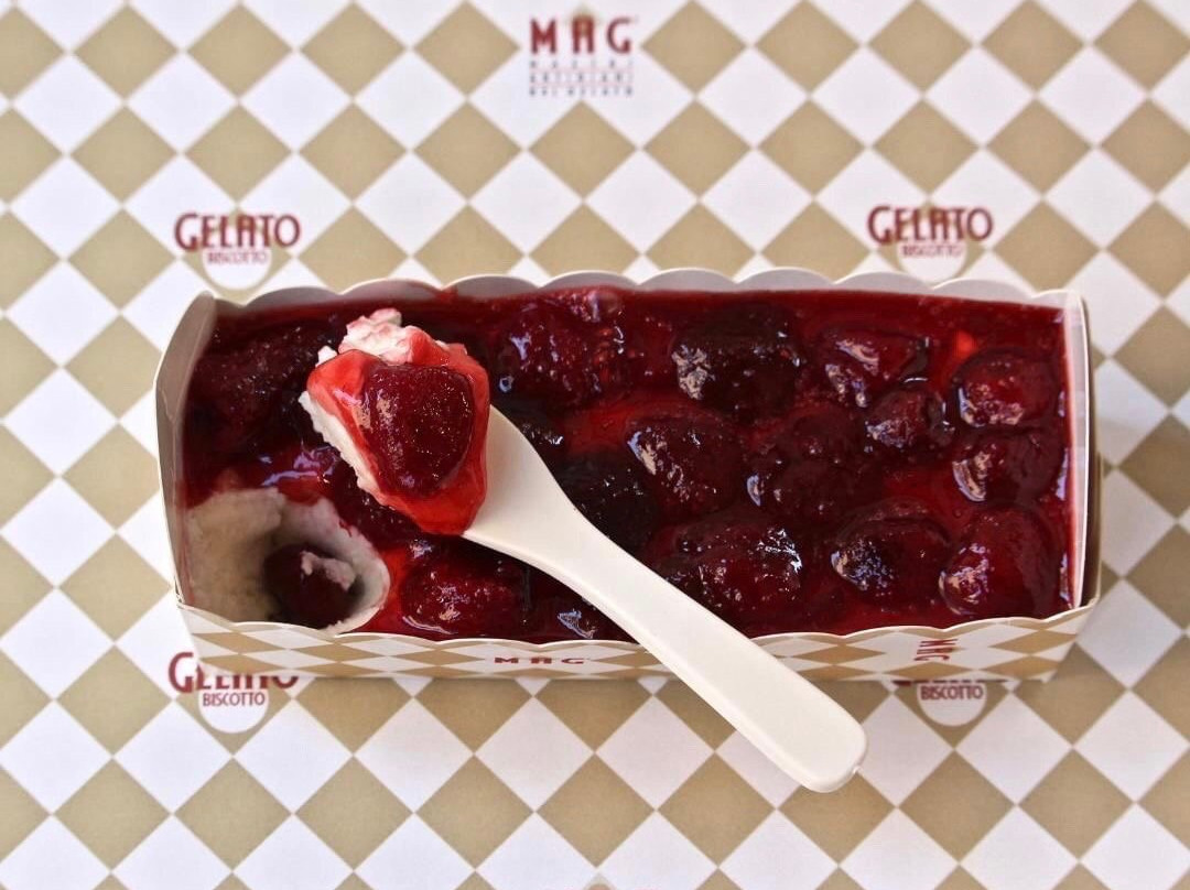 MAG-Mastri artigiani del gelato Biella