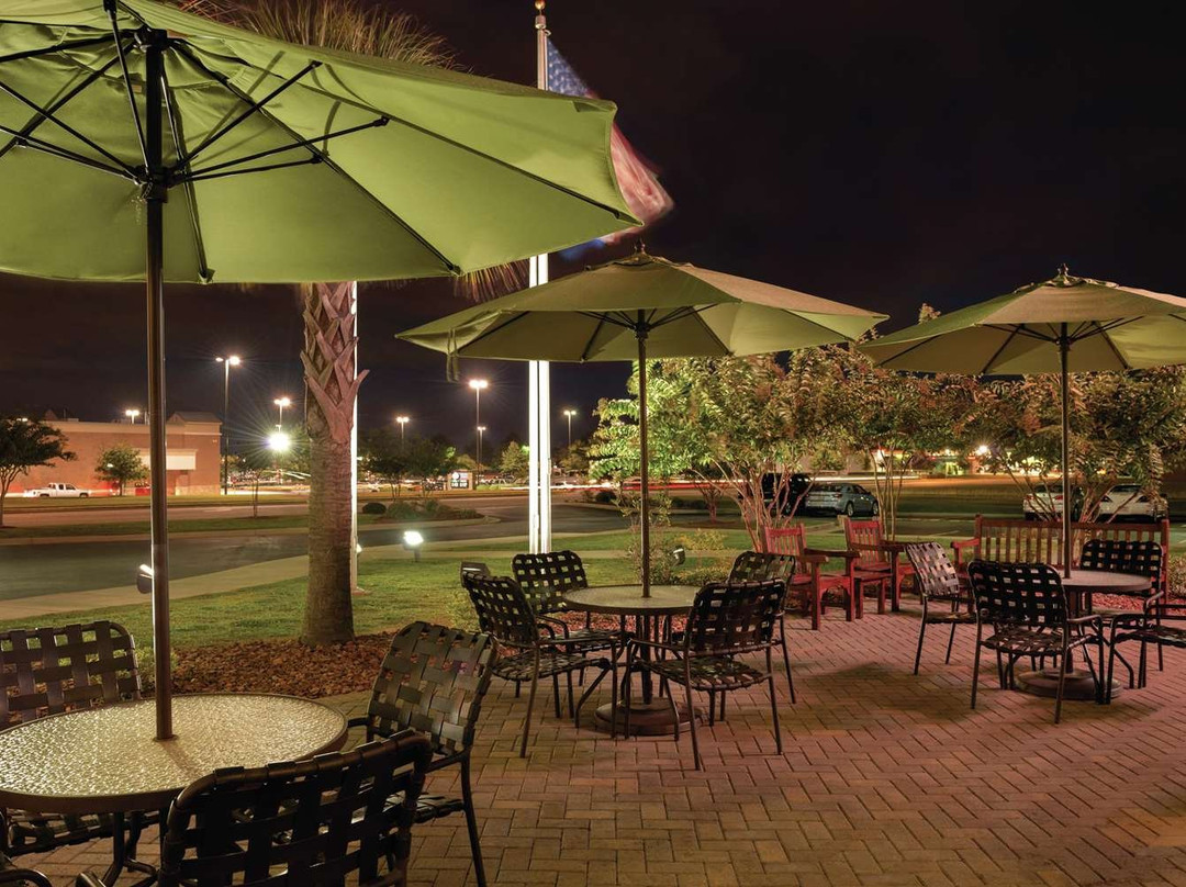 Hilton Garden Inn Warner Robins主图