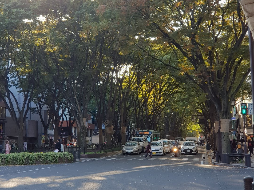 Aoba-dori Avenue景点图片