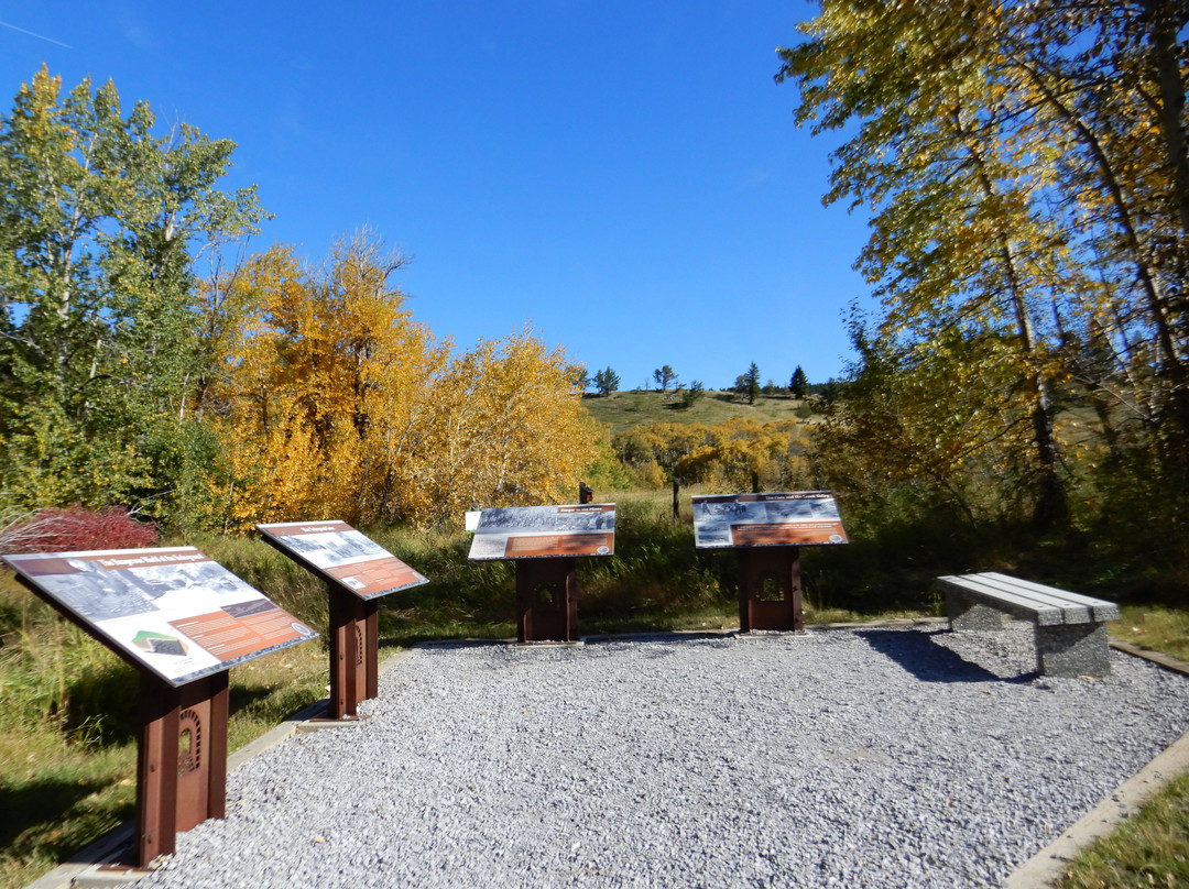 Leitch Collieries Provincial Historic Site景点图片