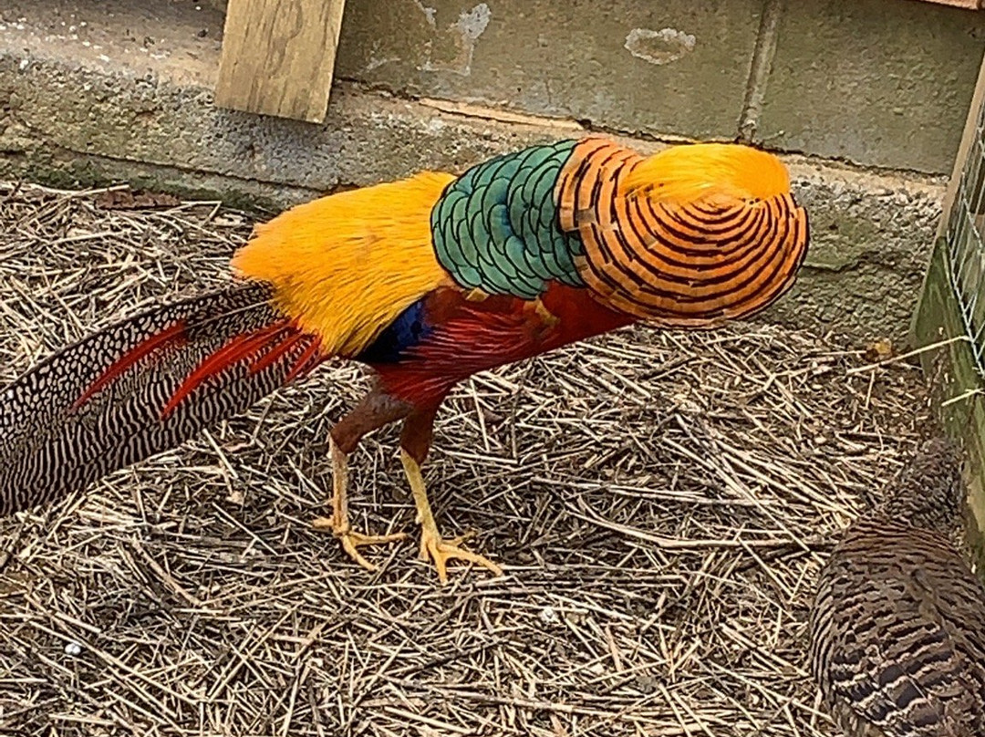 Green Hill Park-伍斯特必去景点