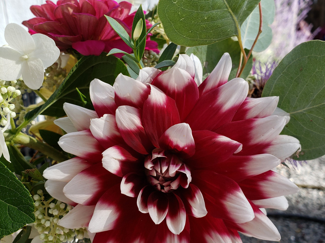 Best Western John Day Inn主图