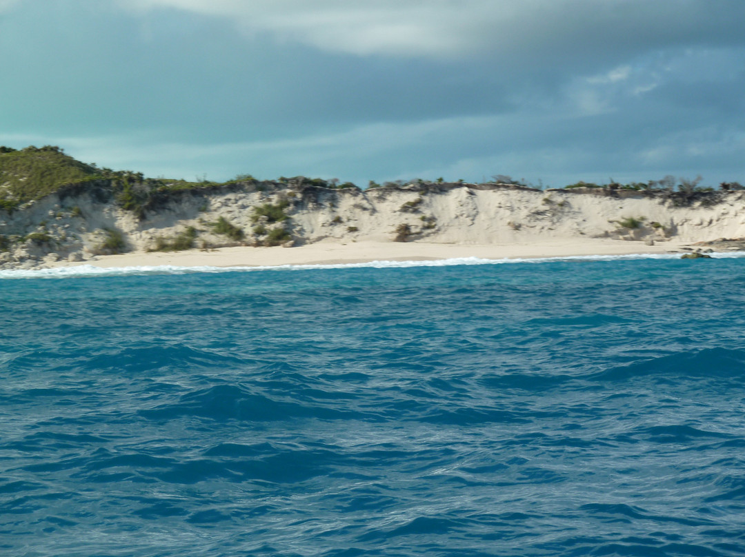 Dive Exuma-George Town必去景点