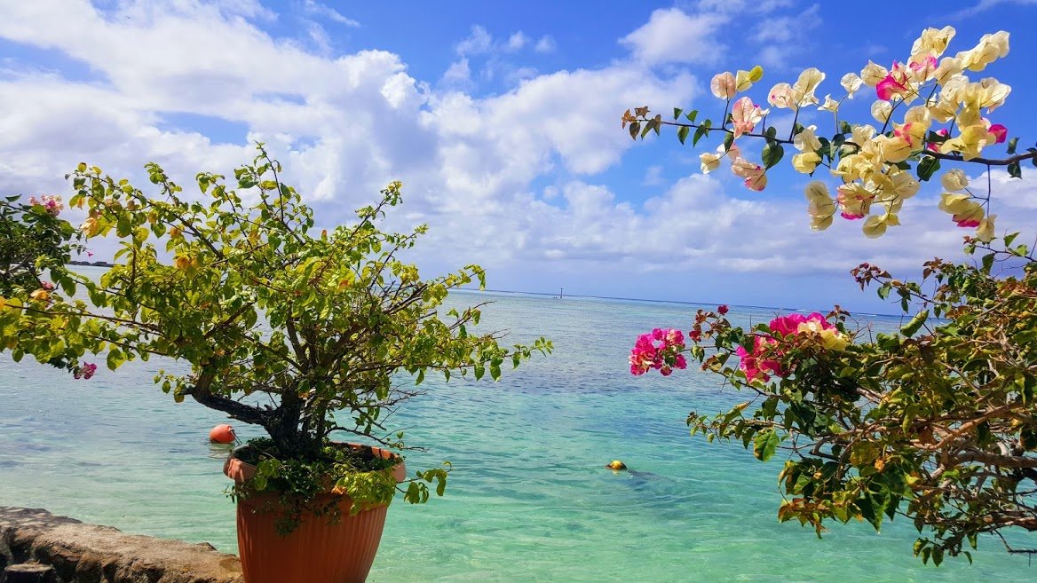 Taoahere Beach House-泳池