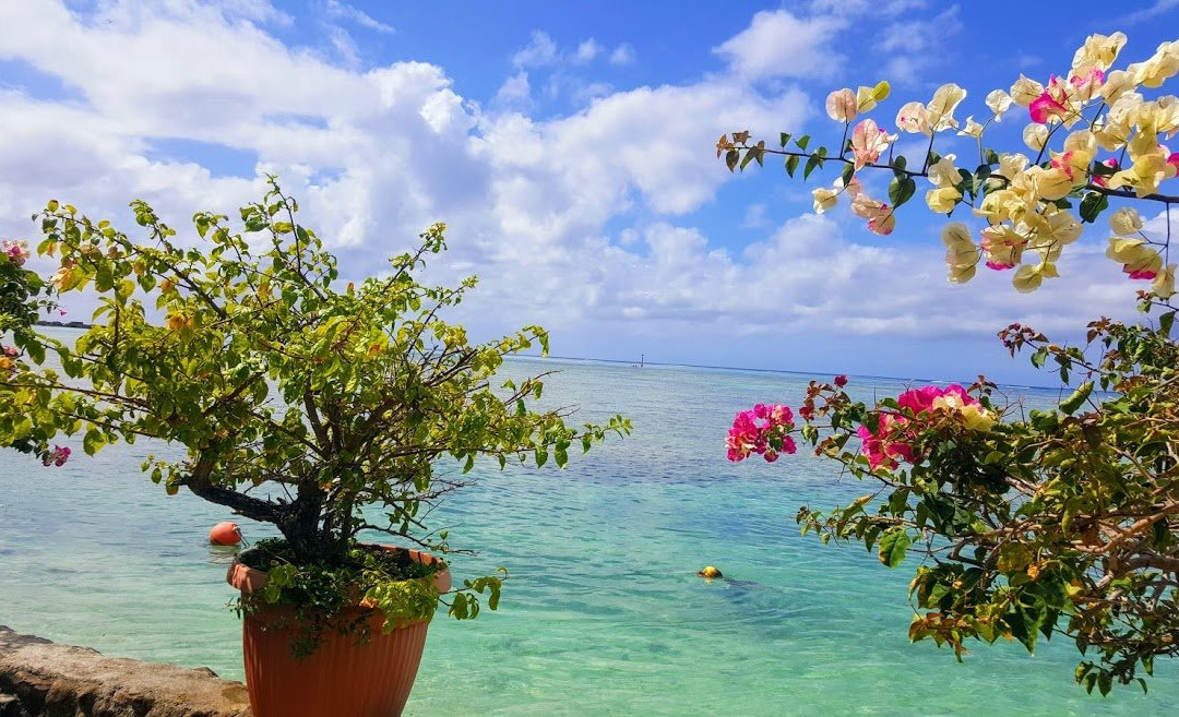 Taoahere Beach House主图