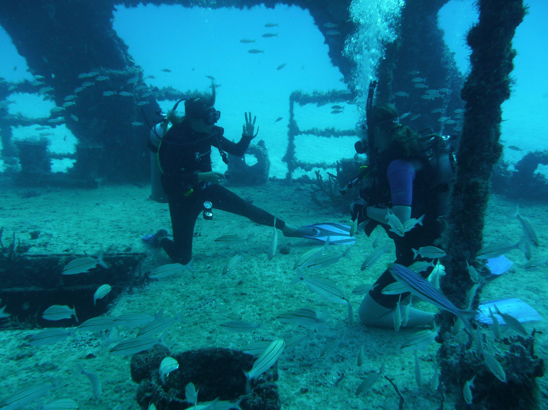 Aquanauts Dive Adventures-从莫雷洛斯港必去景点