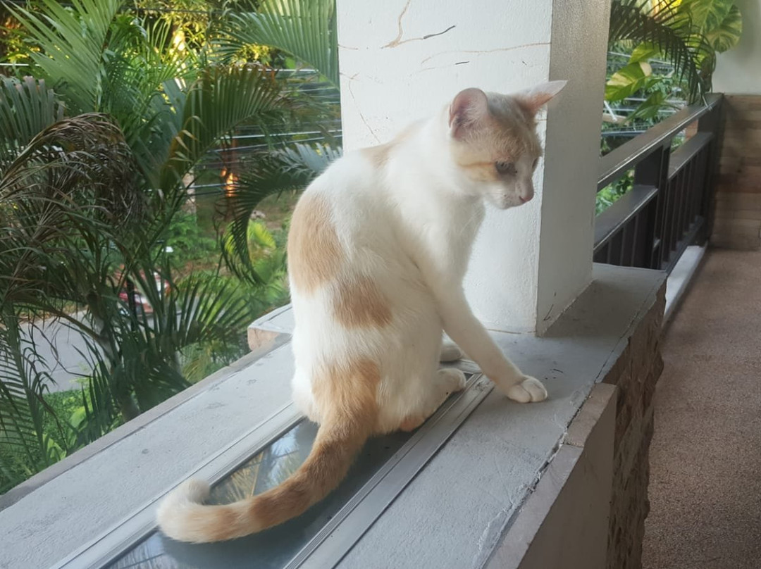 Shanti boutique hotel主图