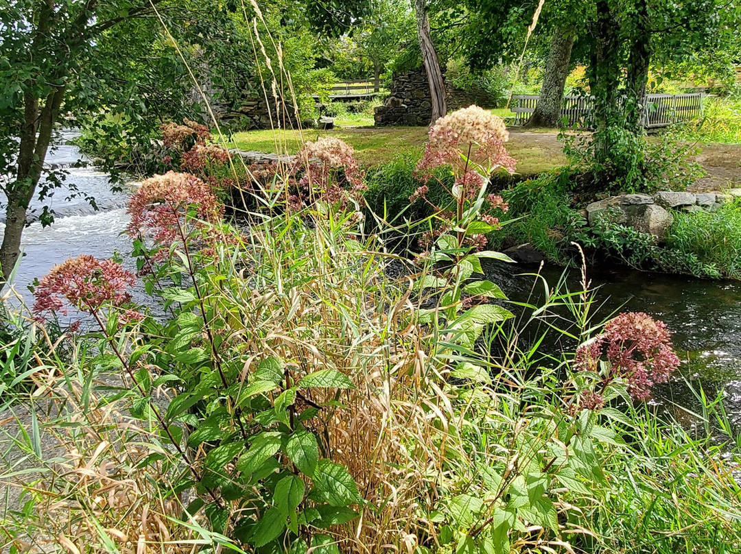Oliver Mill Park-Middleboro必去景点