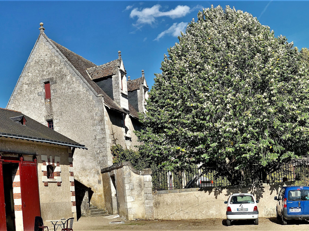 Chateau de Nitray景点图片