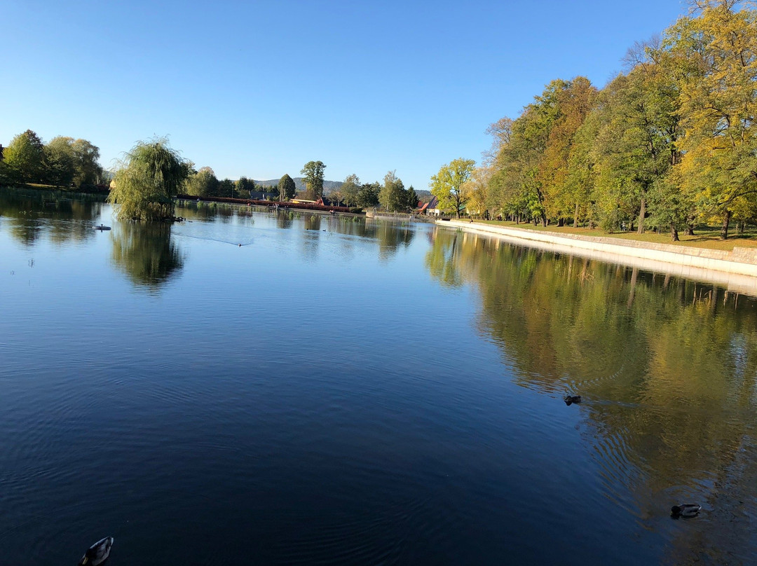 Apartamenty "LA VILLA" z narciarnią, Prywatnym Parkingiem, klimatyzacją, Ogrodem, Blisko Centrum
