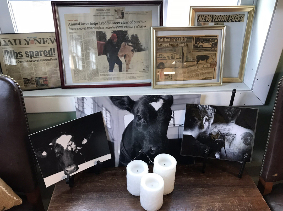 Skylands Animal Sanctuary And Rescue-Wantage必去景点