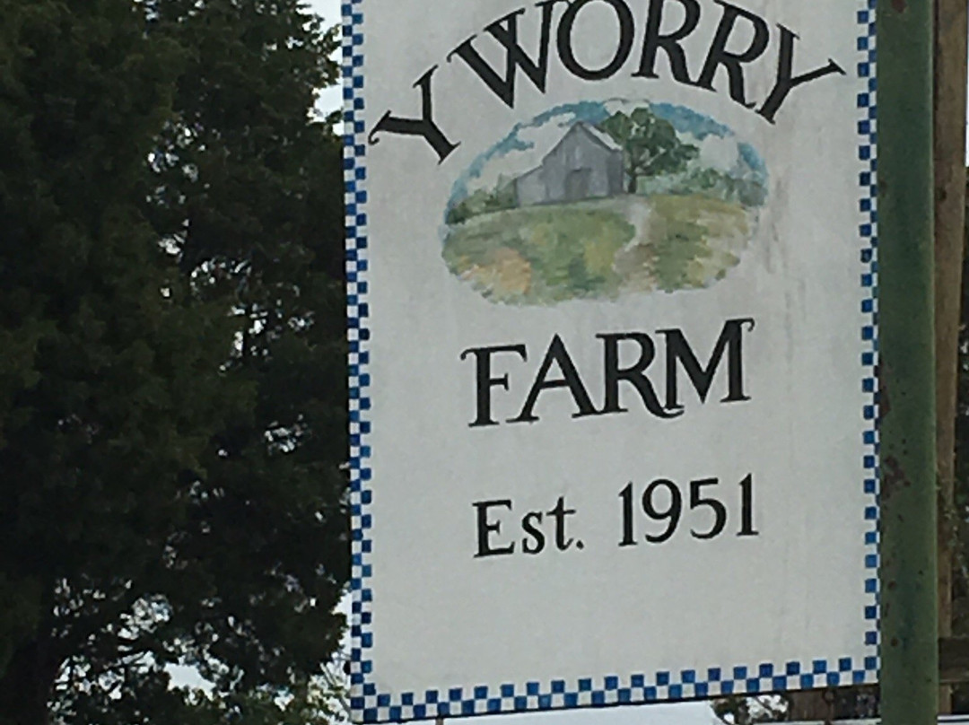 Y Worry Farm景点图片