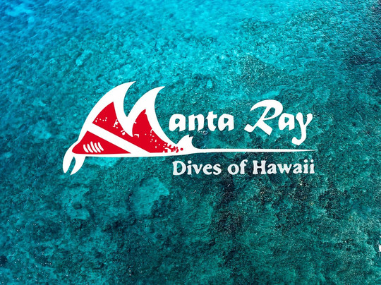 Manta Ray Dives Of Hawaii