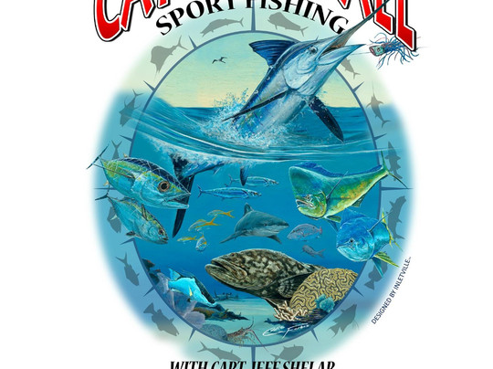 Catch 'Em All-马拉松必去景点