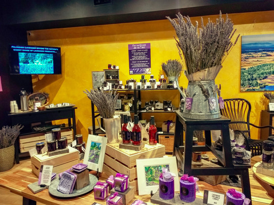 Pelindaba Lavender Savannah-萨凡纳必去景点