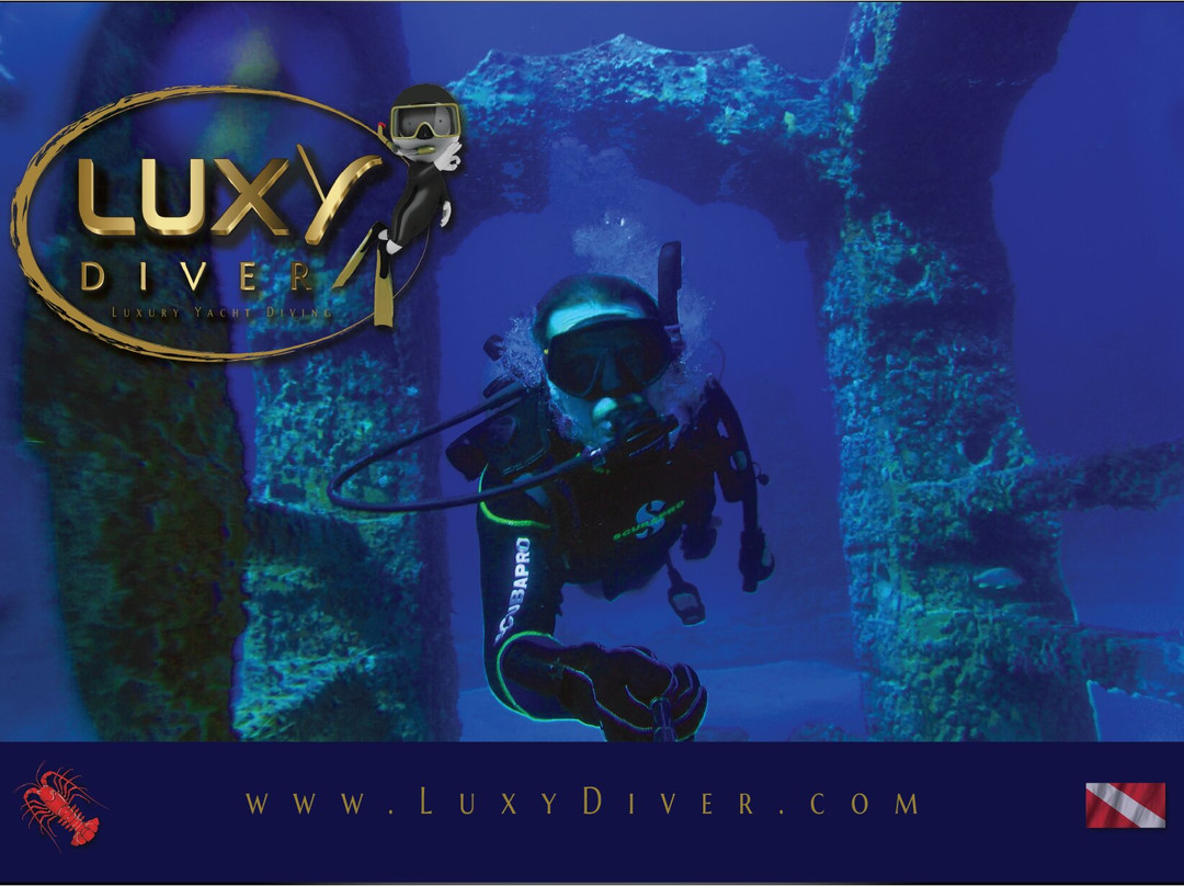 Miami Scuba Diver LLC景点图片