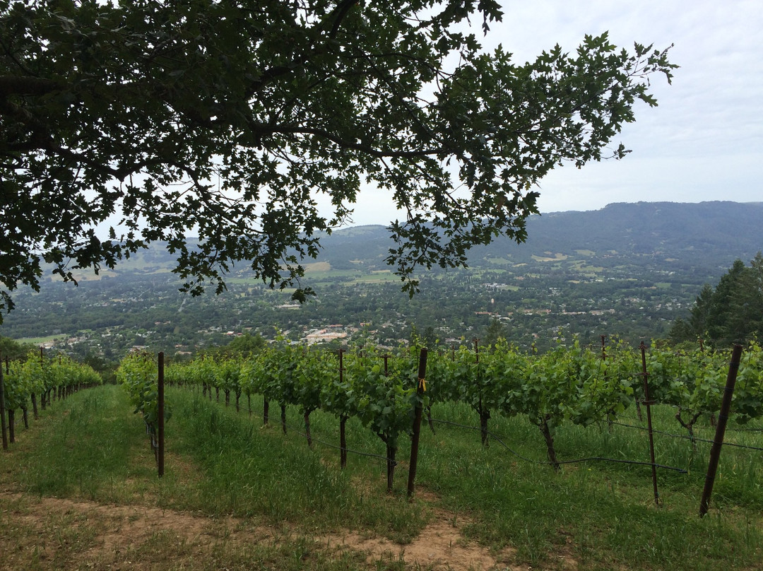 Hanzell Vineyards景点图片