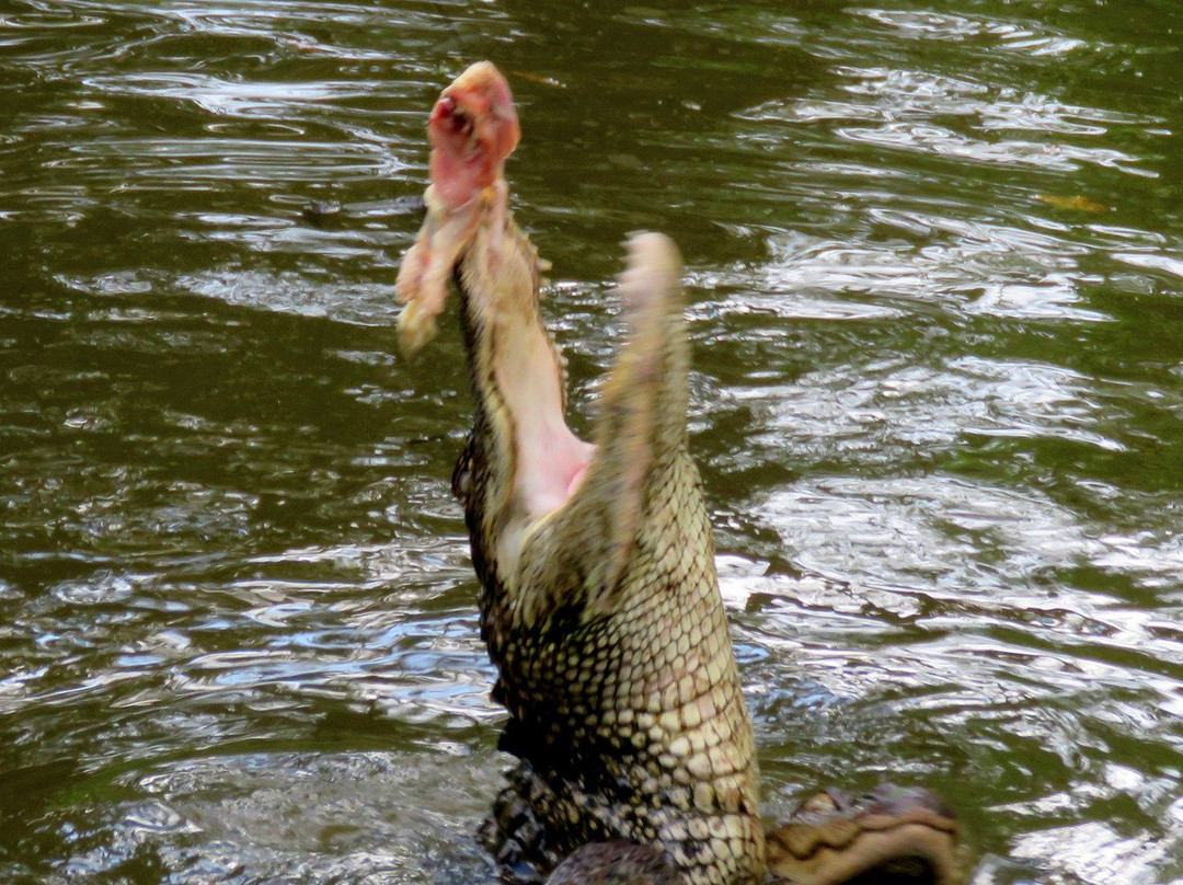 Historic Jefferson Railway-Jefferson必去景点