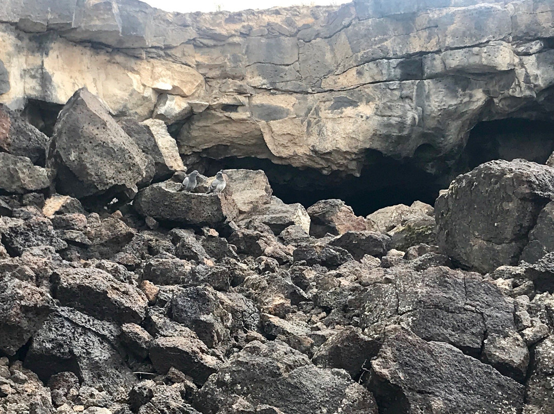 Meadow Lava Tubes
