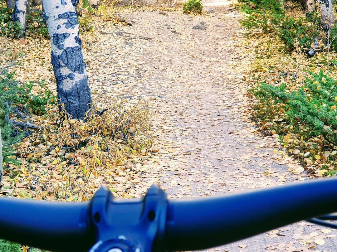 Twin Lakes-Leadville必去景点