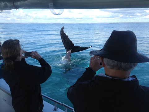 Legend Charters-戴士柏必去景点