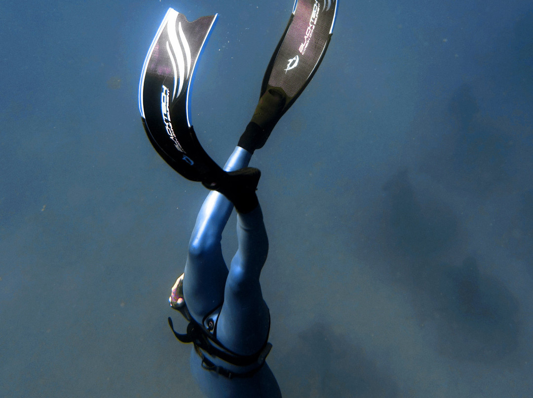 Apnea Canarias-卡门港必去景点