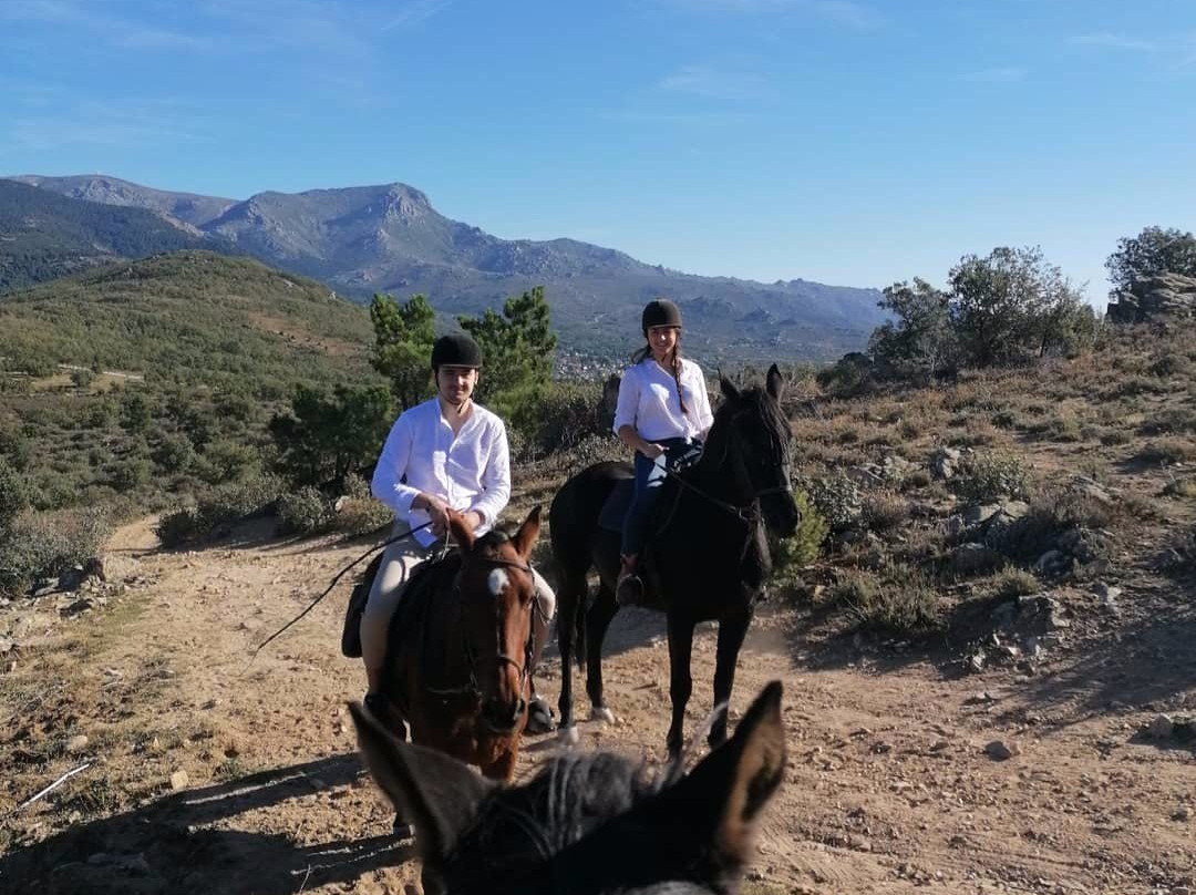 Horse Riding Madrid -Jarahonda-Collado Mediano必去景点
