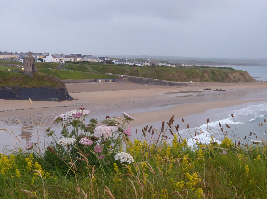 The Olde Attic主图